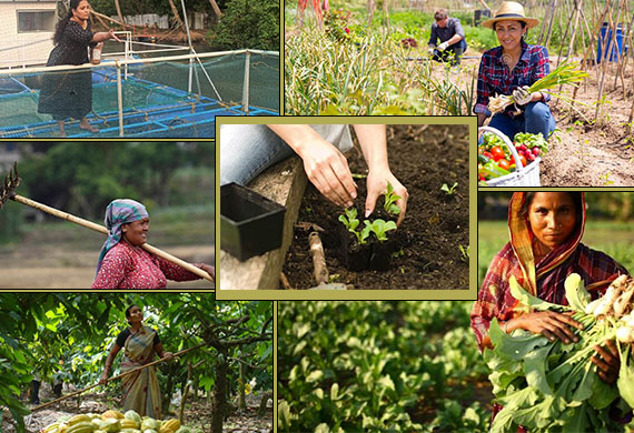 Understanding Women's Role in Urban Farming: Opportunities and Challenges